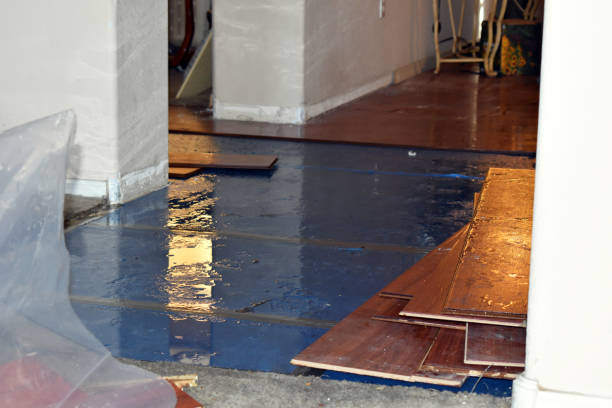 Professional Basement Water Removal technician working in Ocean Beach, NY
